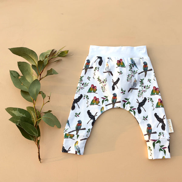 RAINBOW LORIKEET harem baby leggings