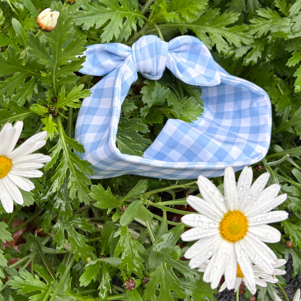 Blue gingham topknot
