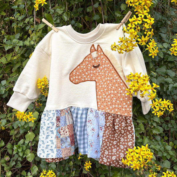 Pecan Pony dress