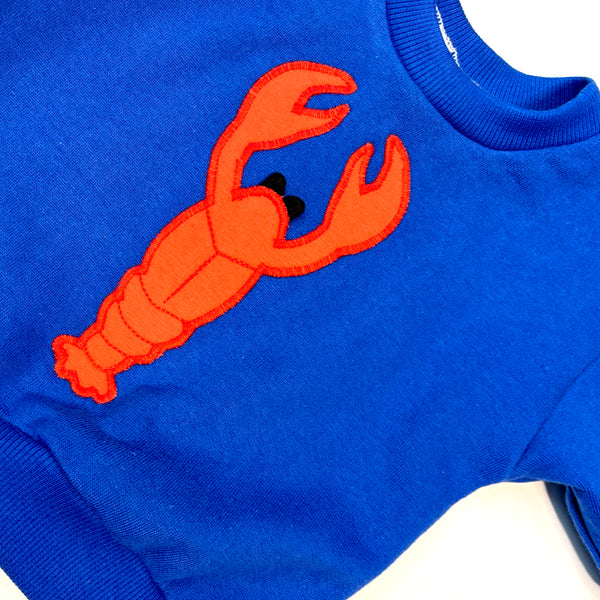 Lobster baby sweater