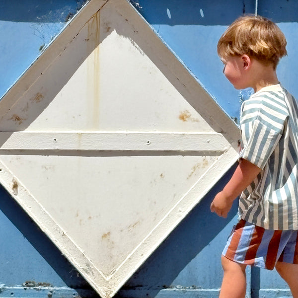 vertical STRIPE shorts