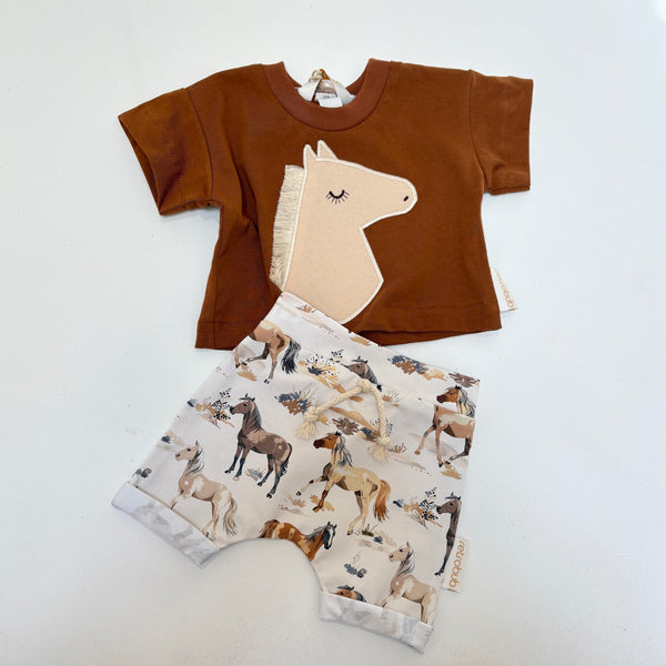 wild horses harem shorts